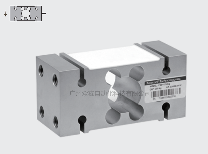 美国传力 FSSV-150kg称重传感器图片